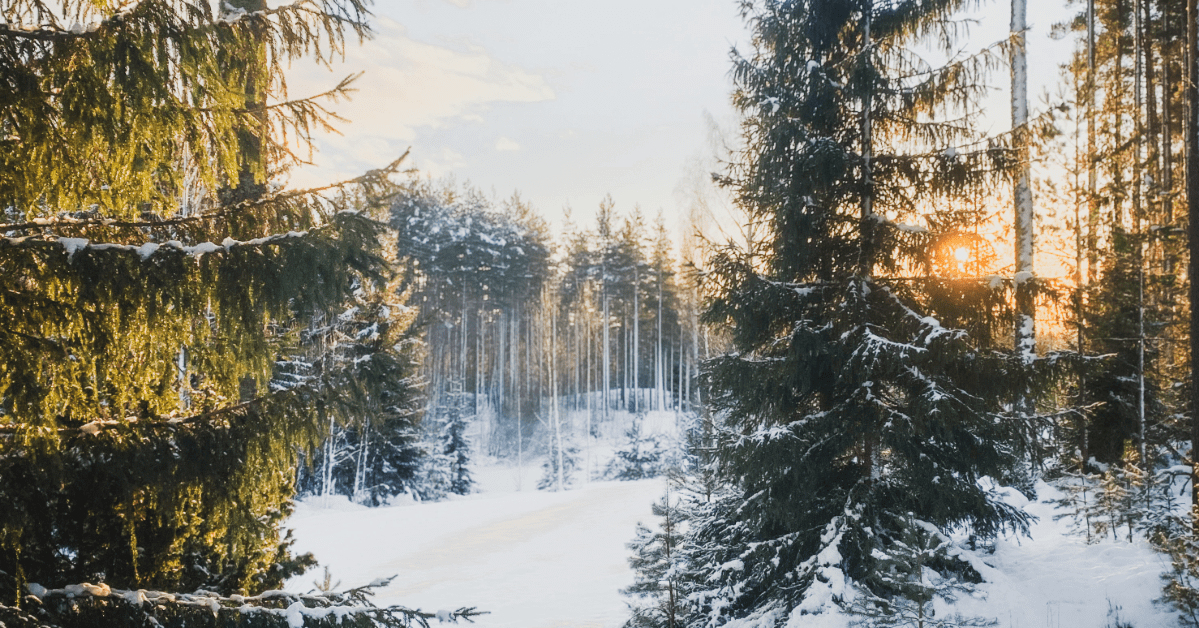 Luukku 2: Puutarhaviljelijän lepoaika