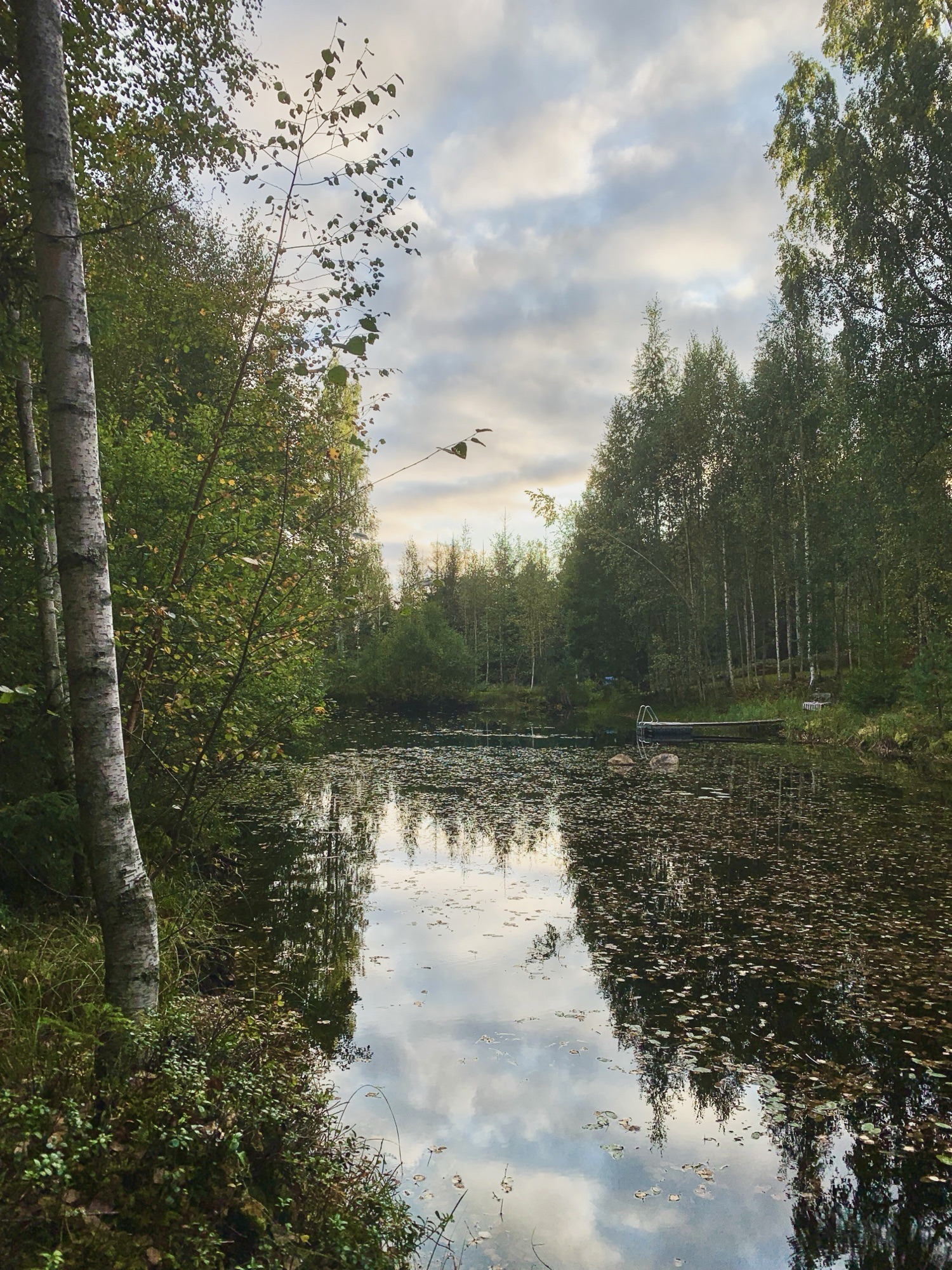 Luukku 15: Kasvien salainen vesiämpäri