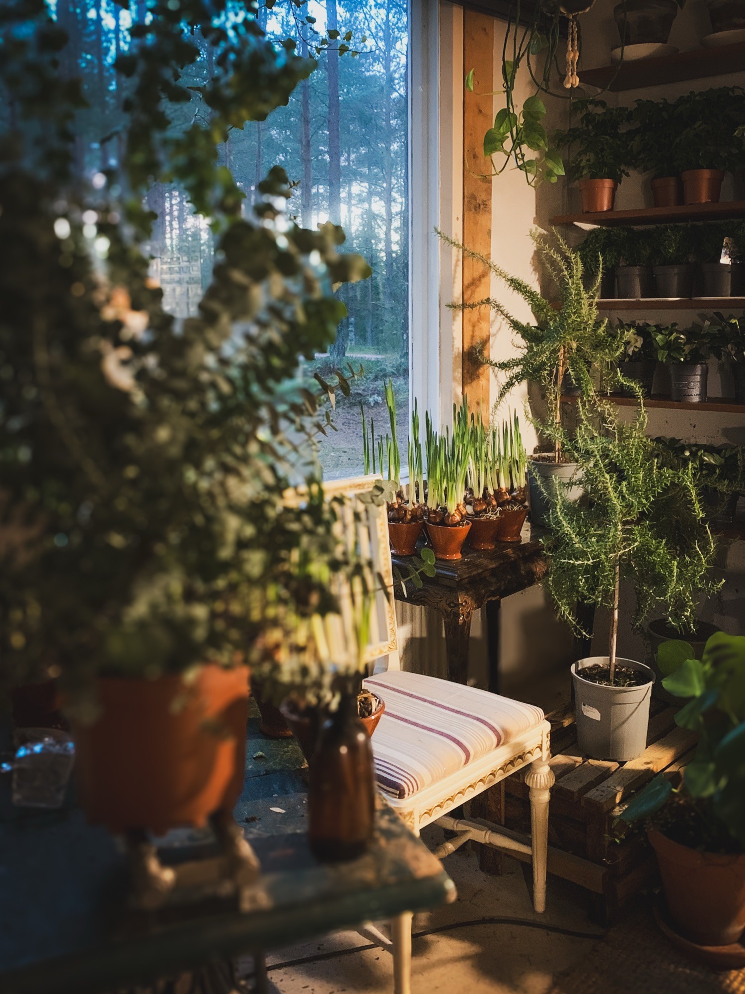 Luukku 11: Vedellä on väliä